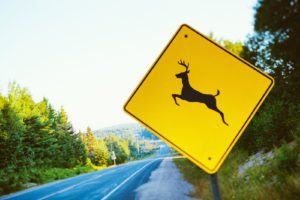AdobeStock_81597294-1600x1600(1)