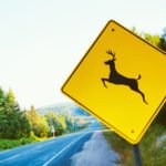 AdobeStock_81597294-1600x1600(1)