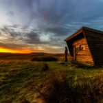 pexels-photo-259618(1)